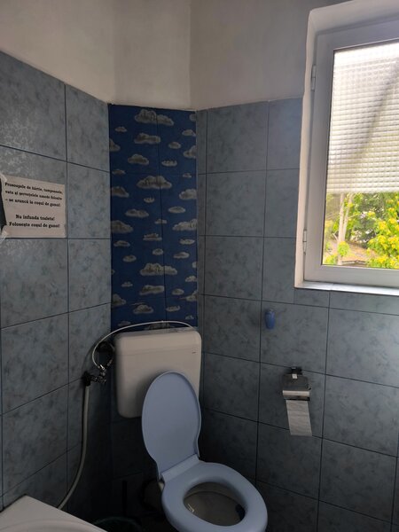 Tineretului, Timpuri Noi